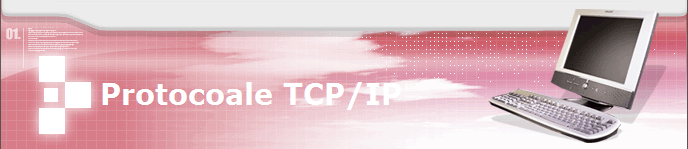 Protocoale TCP/IP